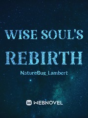 Wise Soul's Rebirth Dark Hunter Novel