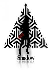 Shadow Shadow Novel