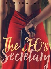 The CEO's Secretary (LZ) Secretary Novel