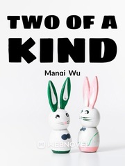 Two Of a Kind Book
