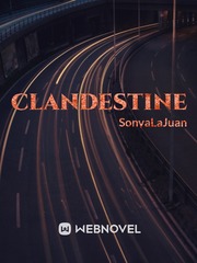 Clandestine Undercover Novel
