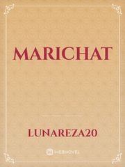 MariChat Miraculous Ladybug Novel