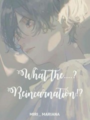 What the....?Reincarnation!? Otome Novel