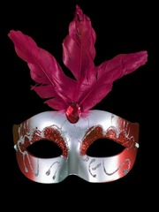 Masquerade 
System Identity Novel