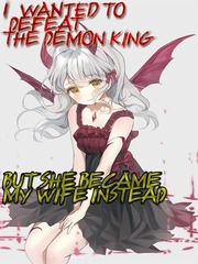 I Wanted To Defeat The Demon King But She Became My Wife Instead First Novel