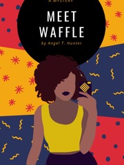 Meet Waffle Book