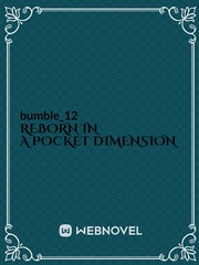Reborn in a pocket dimension Kings Avatar Novel