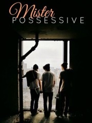 Mr Possessive (BoyxBoy) Book