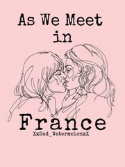 As We Meet in France Book