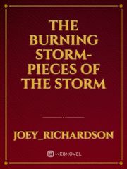 The Burning Storm- Pieces of the Storm One Sentence Novel