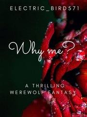 Why me? A werewolf fantasy Book