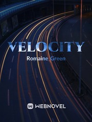 Velocity Magnet Novel