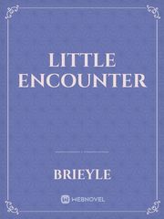 Little Encounter Book