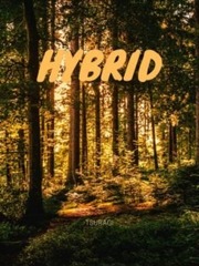 Hybrid Book