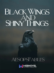 Black Wings and Shiny Things Book