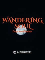 Wandering Soul Usagi Novel