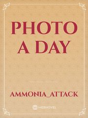 Photo a Day Photo Novel
