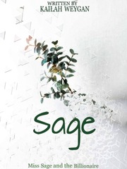 Sage Pokemon Sage Novel