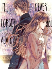 I'll never forget you again Book