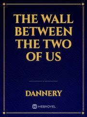 The Wall Between The Two of Us Book