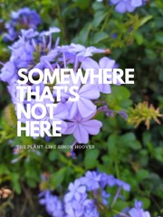 Somewhere That's Not Here Colleen Hoover Novel