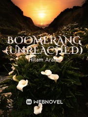 Boomerang (unreached) Wangxian Novel