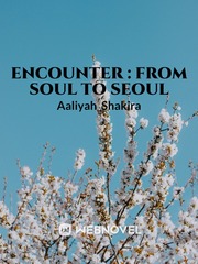 Encounter : From Soul to Seoul Book