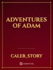 Adventures of Adam Mage Novel