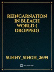 REINCARNATION IN BLEACH WORLD ( dropped) Comical Novel