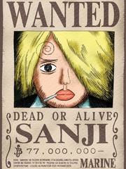 One Piece: Reincarnating into "Black Leg" Sanji Cooking Novel