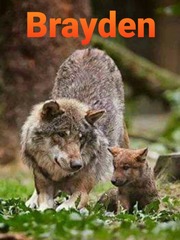 Brayden Orphan Novel