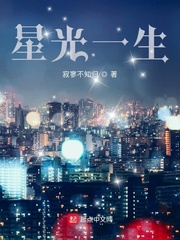 星光一生 2012 Novel