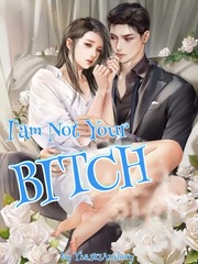 I'am Not Your Bitch Perusahaan Novel