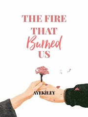 The fire that burned us Before You Go Novel