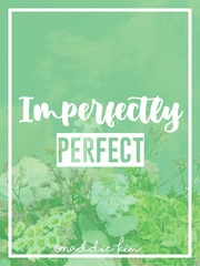 Imperfectly Perfect Salvation Novel