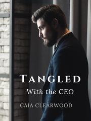 Tangled with the CEO Book
