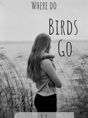 Where do birds go? Before You Go Novel