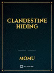 CLANDESTINE HIDING Icha Icha Novel