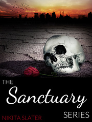The Sanctuary Series Radio Rebel Novel