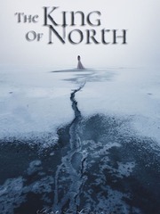 The King Of North Male To Female Novel
