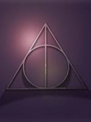 Harry Potter and the Secret Treasures Newt Scamander Novel