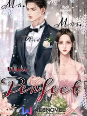 Mr. and Mrs. Perfect Book