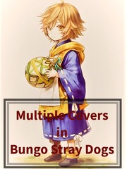 Multiple Covers in Bungo Stray Dogs Sanemi Shinazugawa Novel