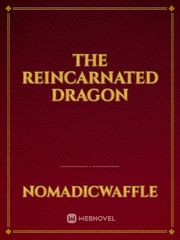 The Reincarnated Dragon Killing Stalking Novel