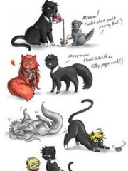 Black Butler Cats x Dragon Girls The Cat Novel