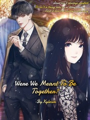 Were We Meant To Be Together? Book