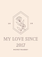 My Love Since 2017 2017 Novel