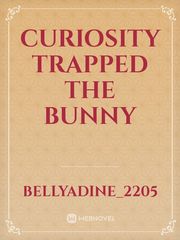 curiosity trapped the Bunny Coma Novel