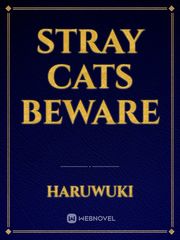 stray cats beware Book