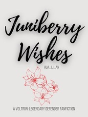 Juniberry Wishes Voltron Novel